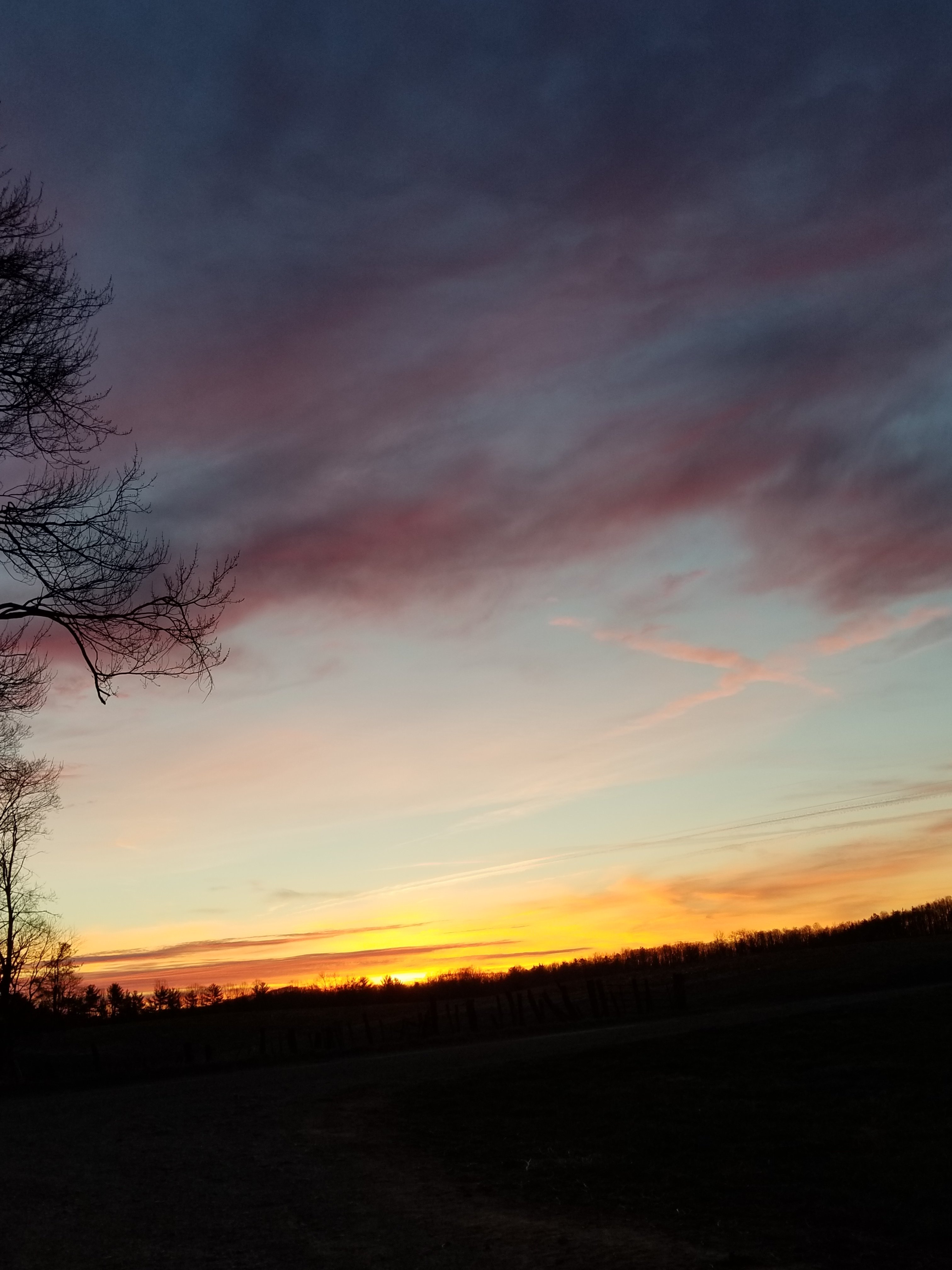 Good Morning Good Morning