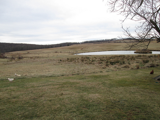 11934029784_46393d797e_z