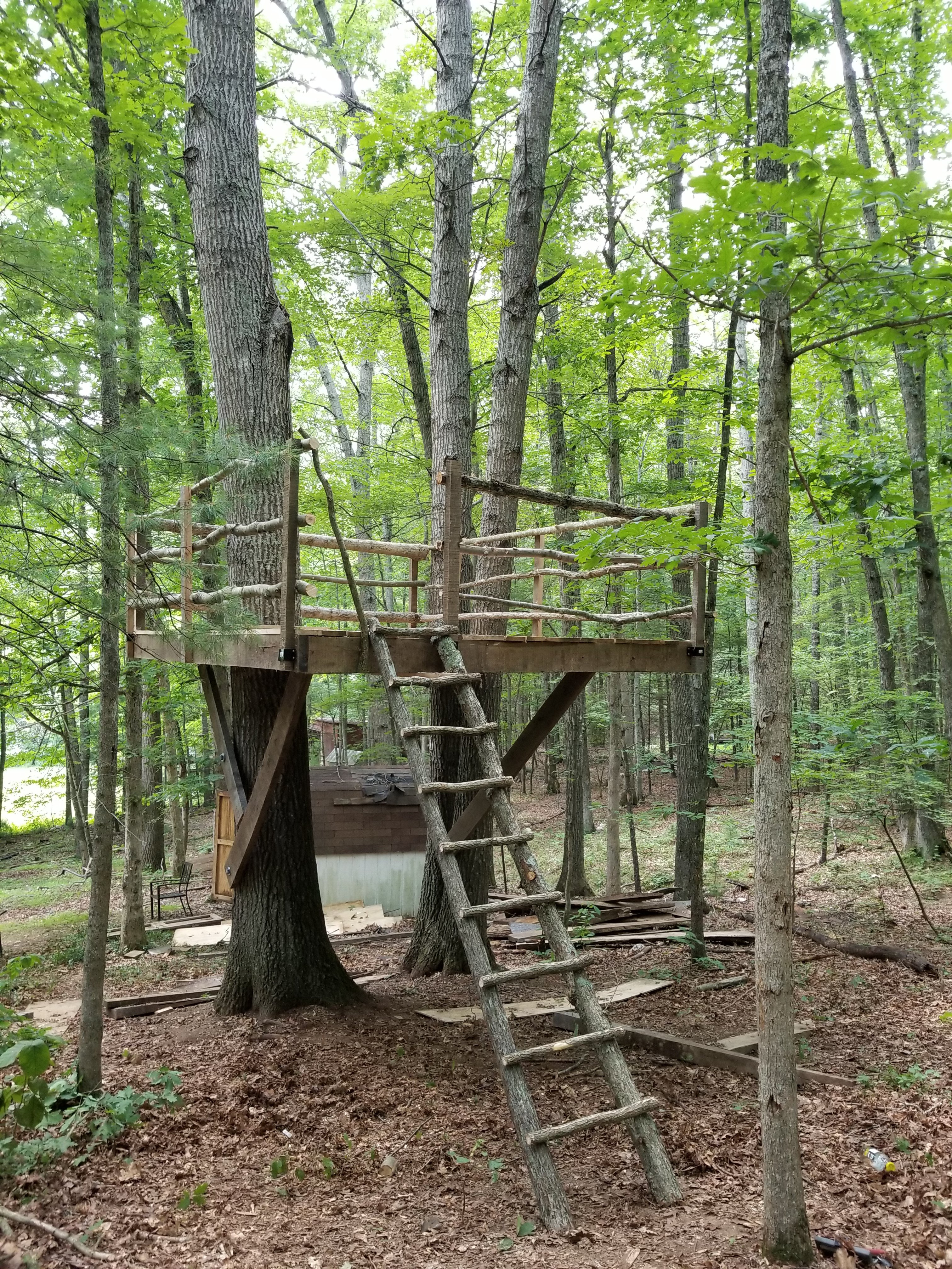 Treehouse Finished Treehouse Finished