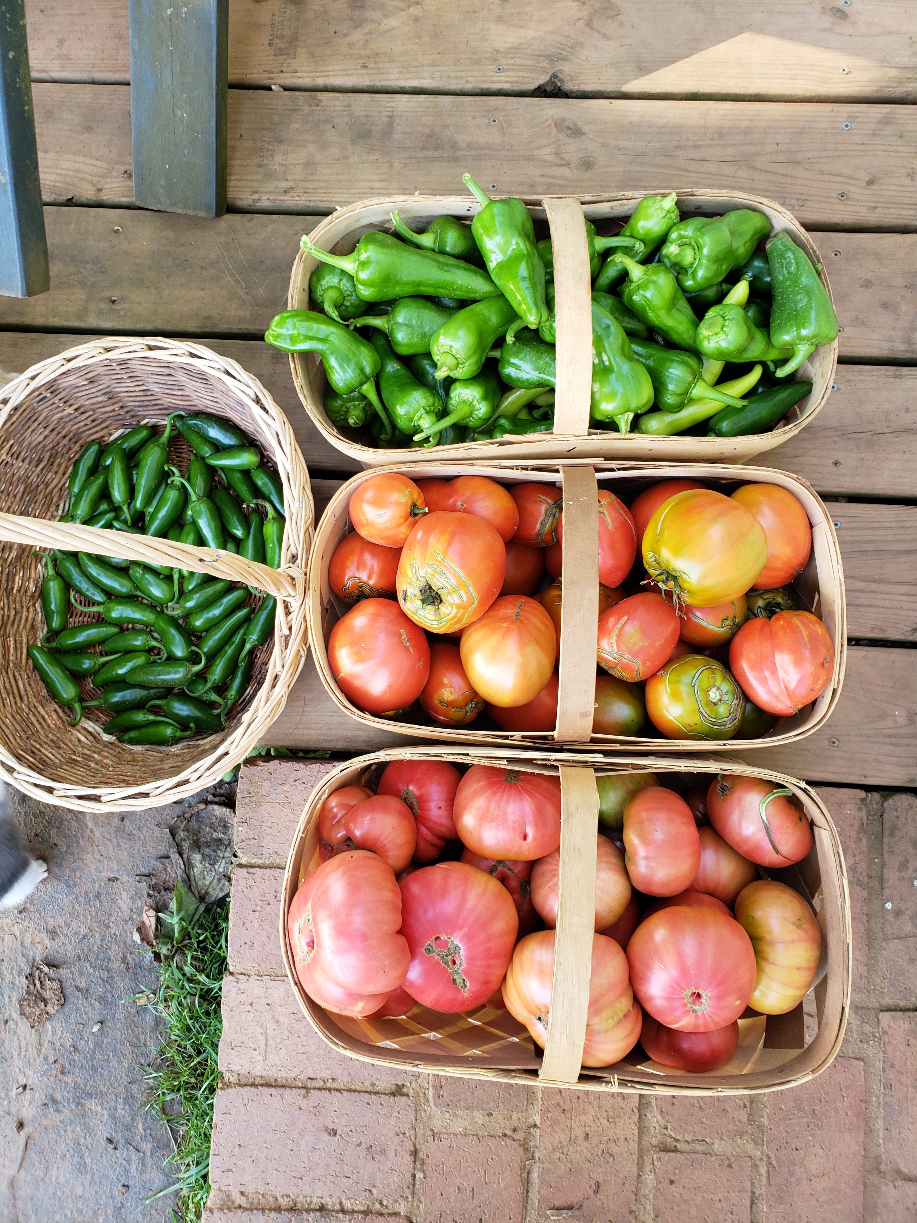 Canning Update Canning Update