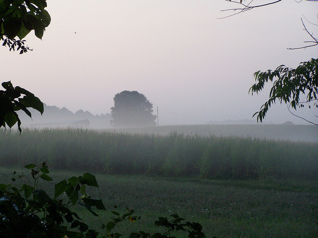 7727215506_65ce796907_z