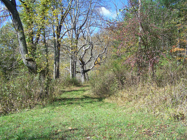 10743133276_8fe26a4149_z