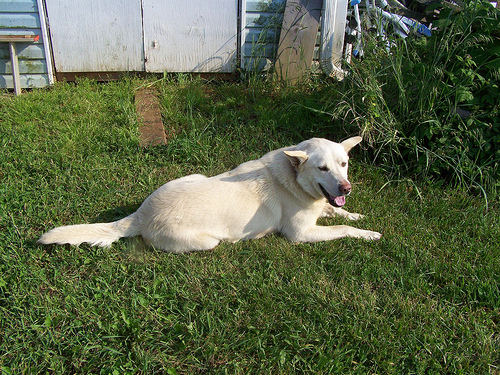 7275528238_c8211192cc