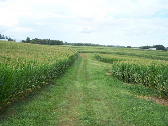 7887211332_4ebc0c8c43_z