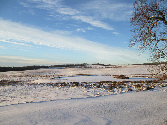 12205947543_0329cb6cd7_z