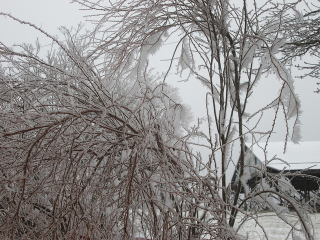 13242546724_a392d4d569_z