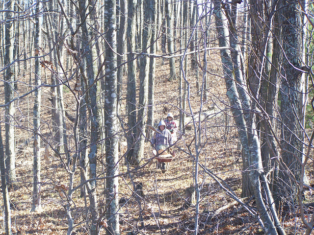 10594355613_bda2562f6e_z