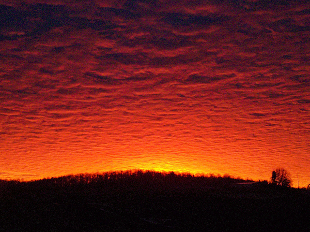 8332833463_0543bcba81_z