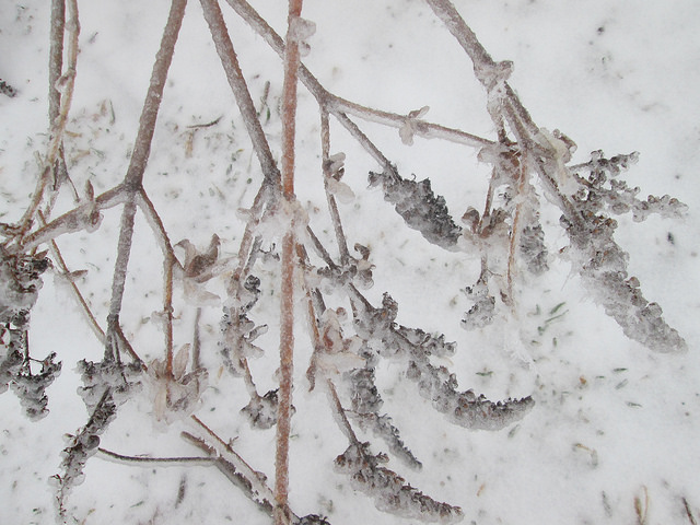 13242497744_9b16cb464e_z