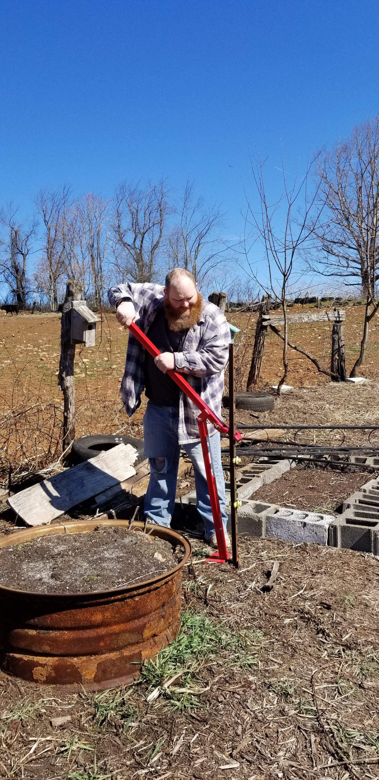 More Garden Stuff More Garden Stuff