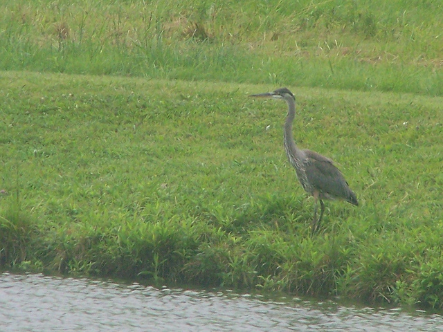 7592059720_b403a77bee_z