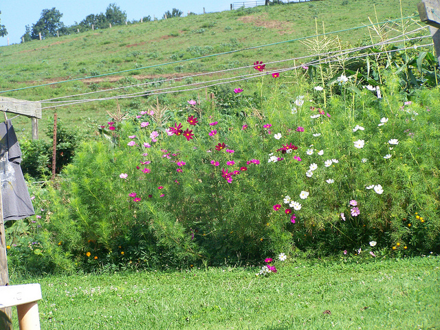 9517976858_5a21fa6636_z