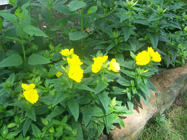 9035619168_0aa03a9376_z