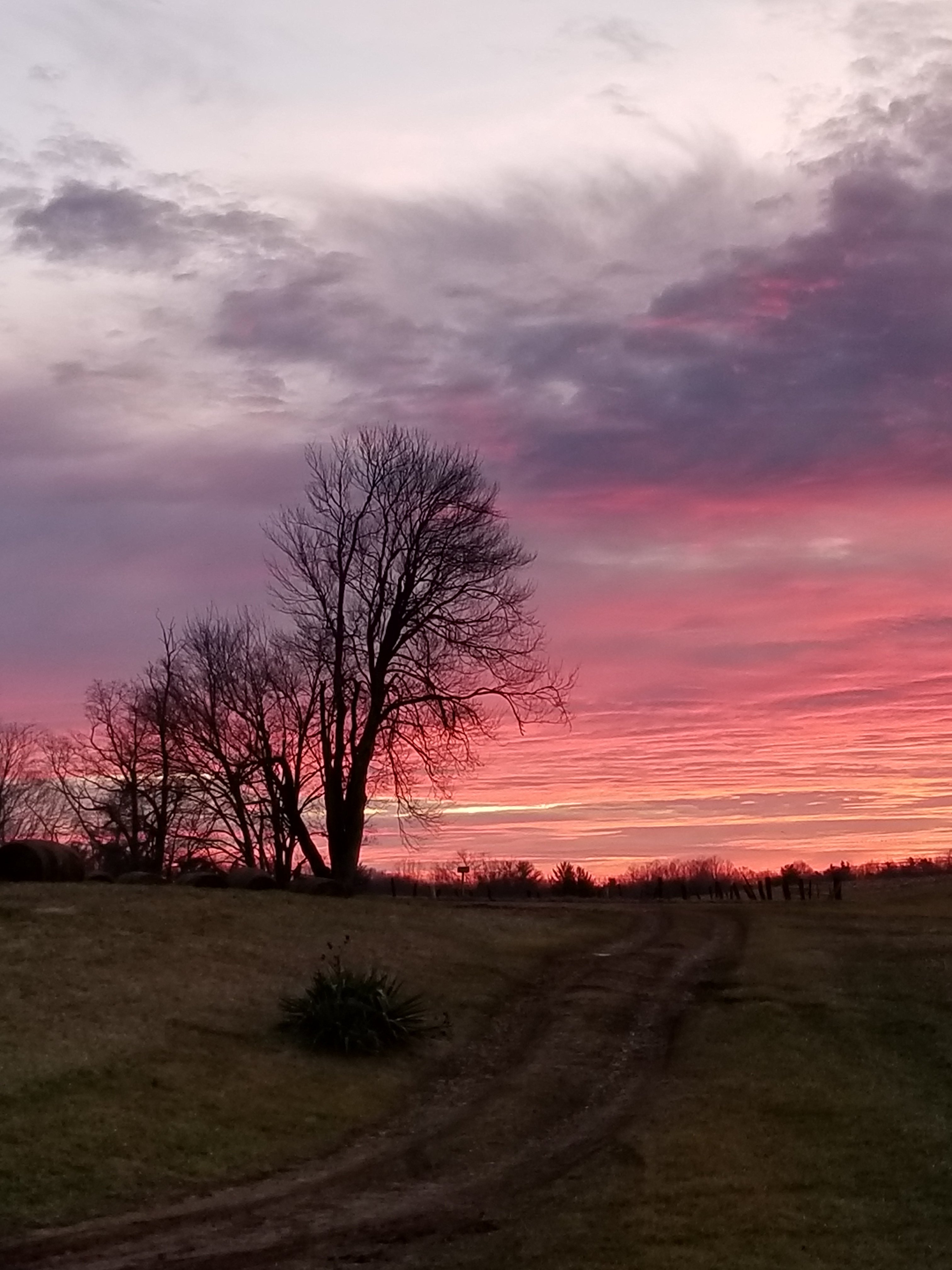 More Sunrise Pictures More Sunrise Pictures