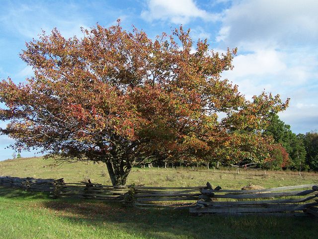 10124448613_9b5200c806_z