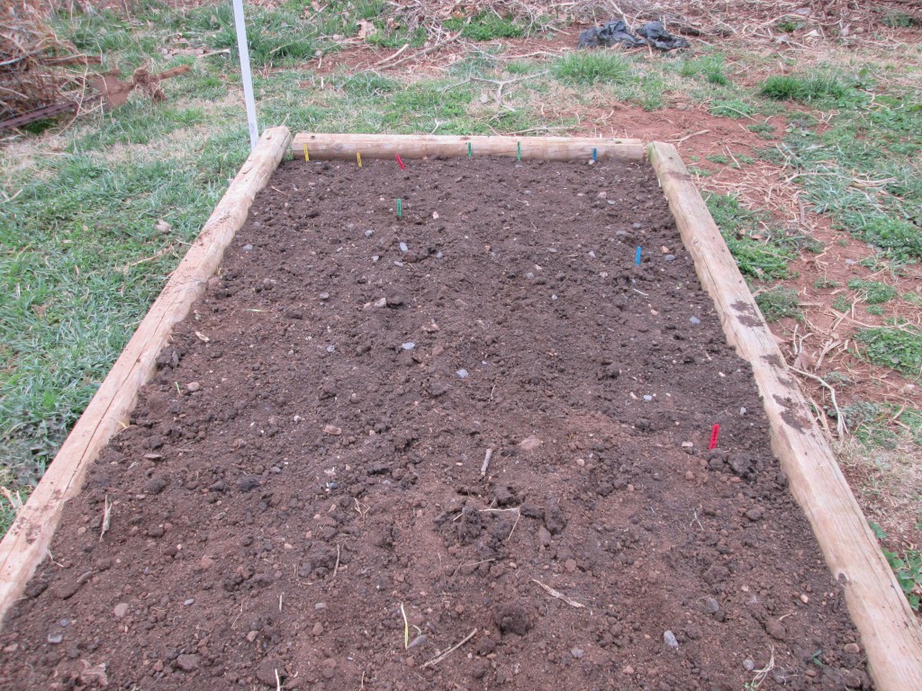 Playing In The&nbsp;Dirt