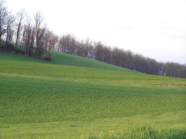 8657582267_d40eee8e47_z