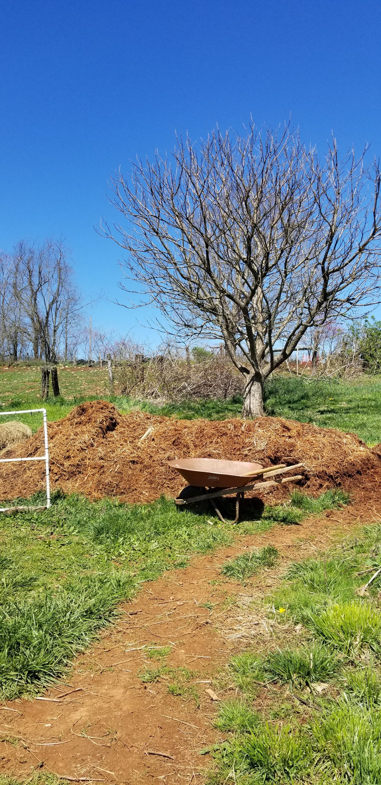 Garden News Garden News