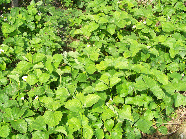 8870616431_268190233e_z