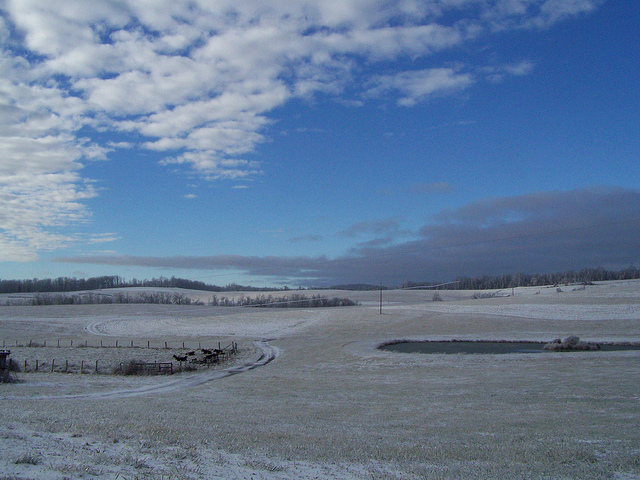 8321184771_ffd5cf2fd1_z