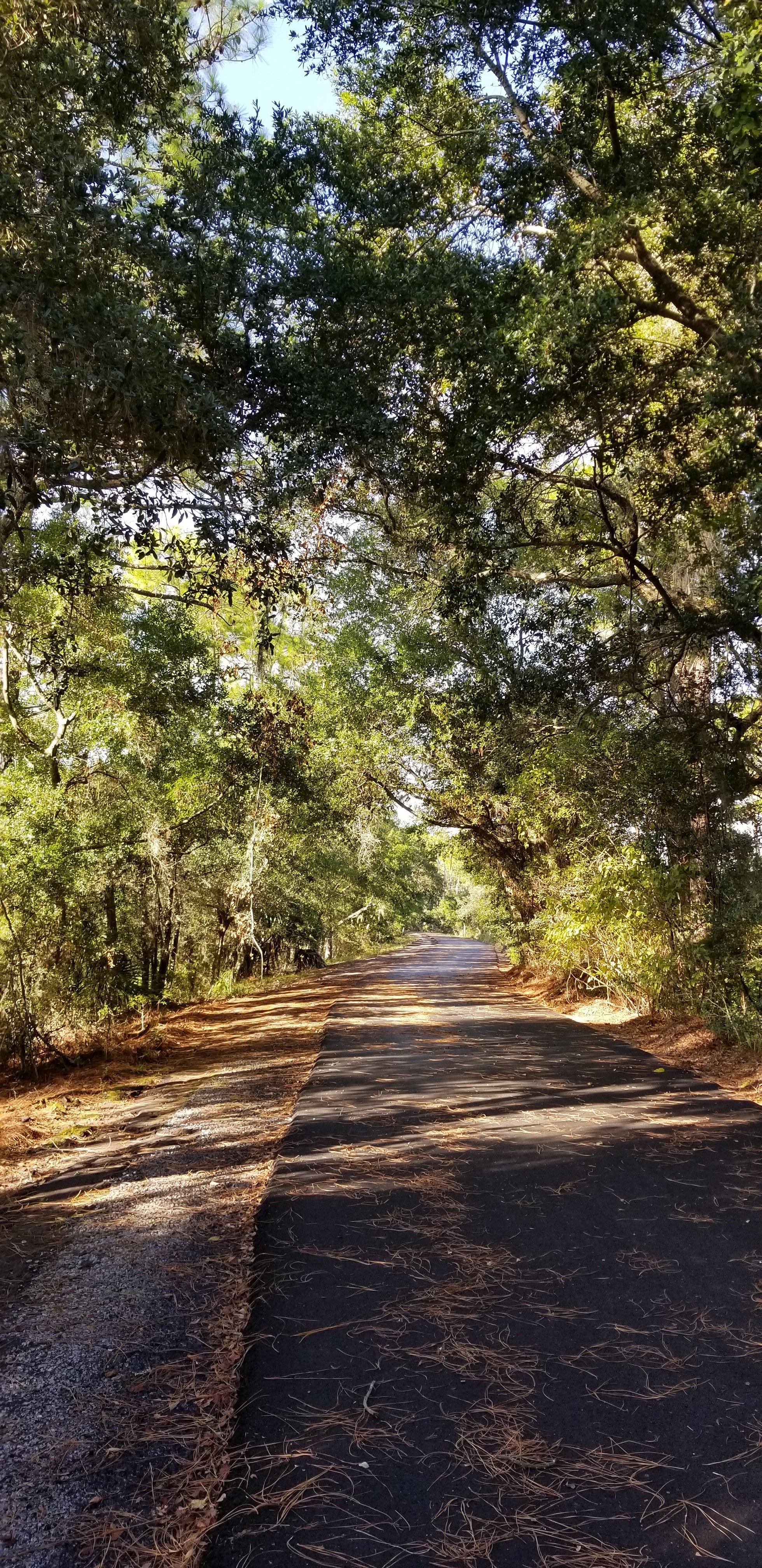 Trail at Dairy&nbsp;Queen