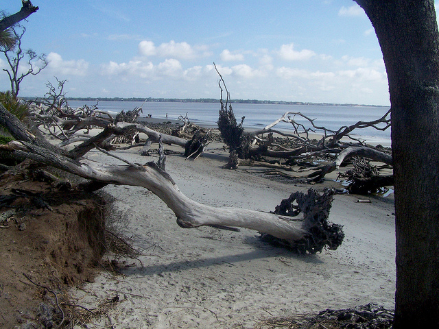 9010264315_91b55890bf_z