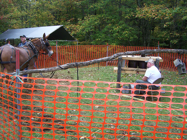 8037159922_cb678a5239_z