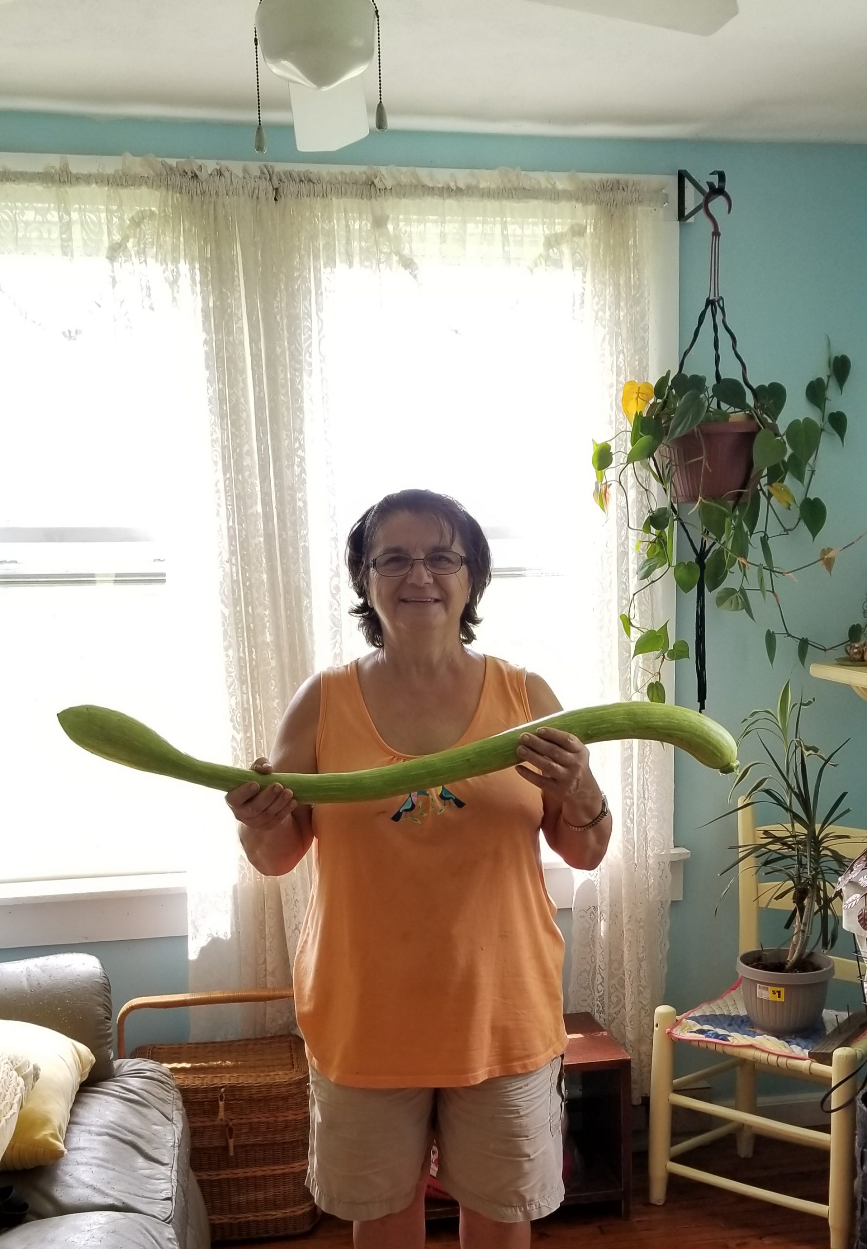 Gardening and a&nbsp;Project