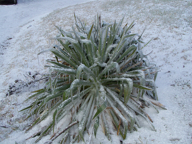 8321187665_198135b5d0_z