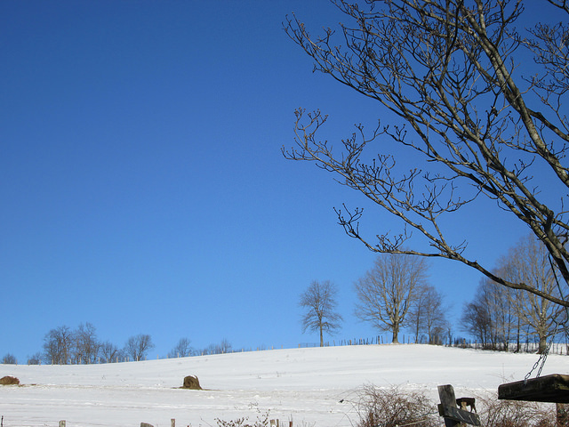 12205974773_c5d9821ac8_z