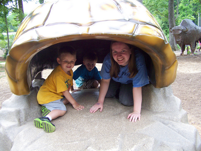 8755417944_7db368162c_z