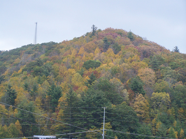 8071017972_c3a1d8ca36_z