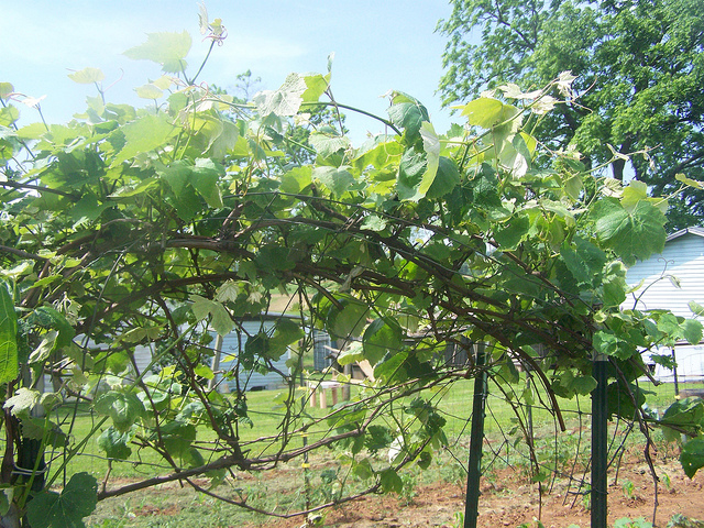 9033384909_3aa9ee283a_z