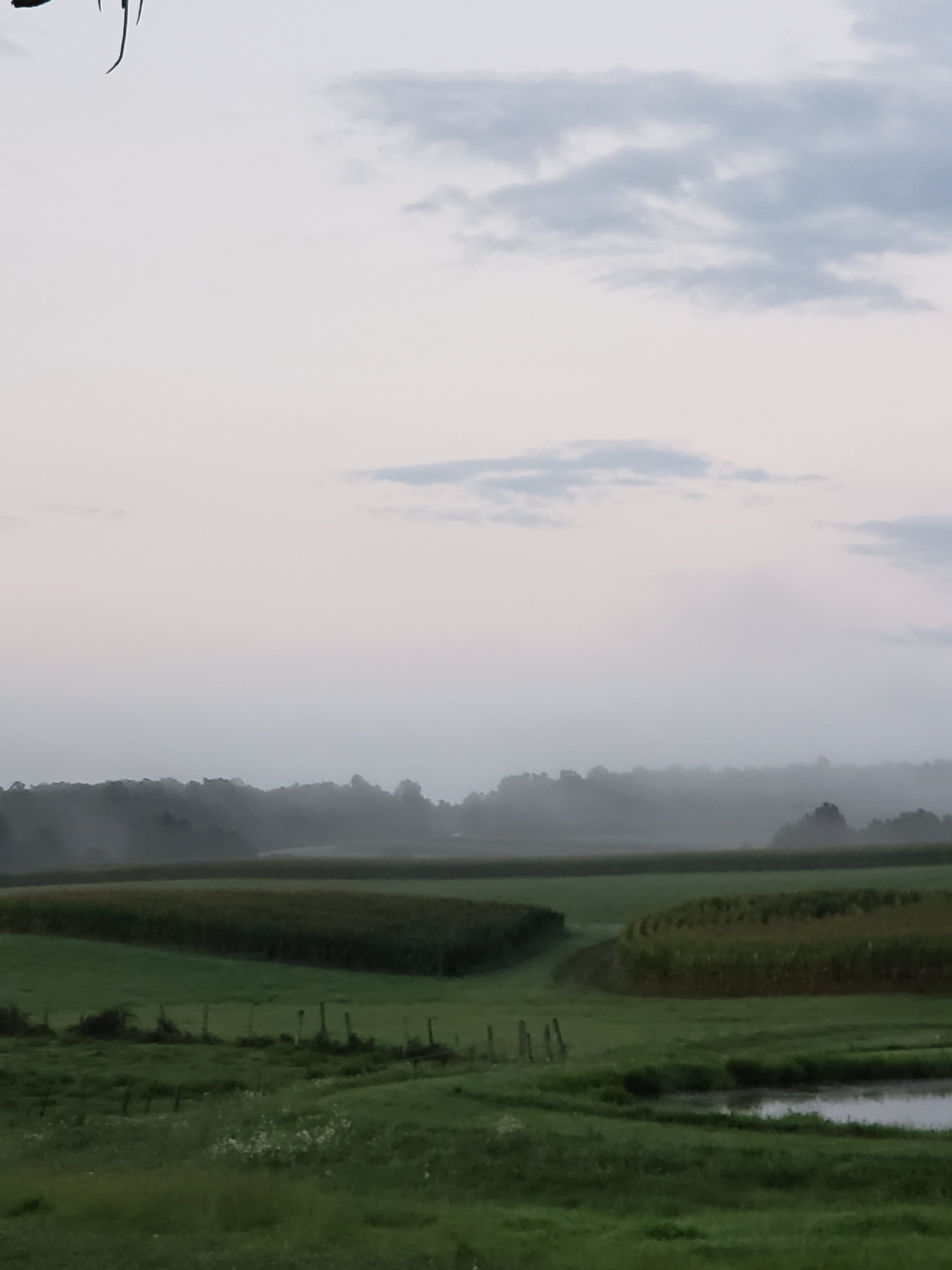 Good Morning Good Morning