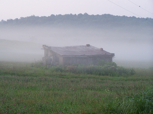 7727217186_f8bb45b278_z