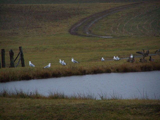 8385789611_fcc3e47585_z