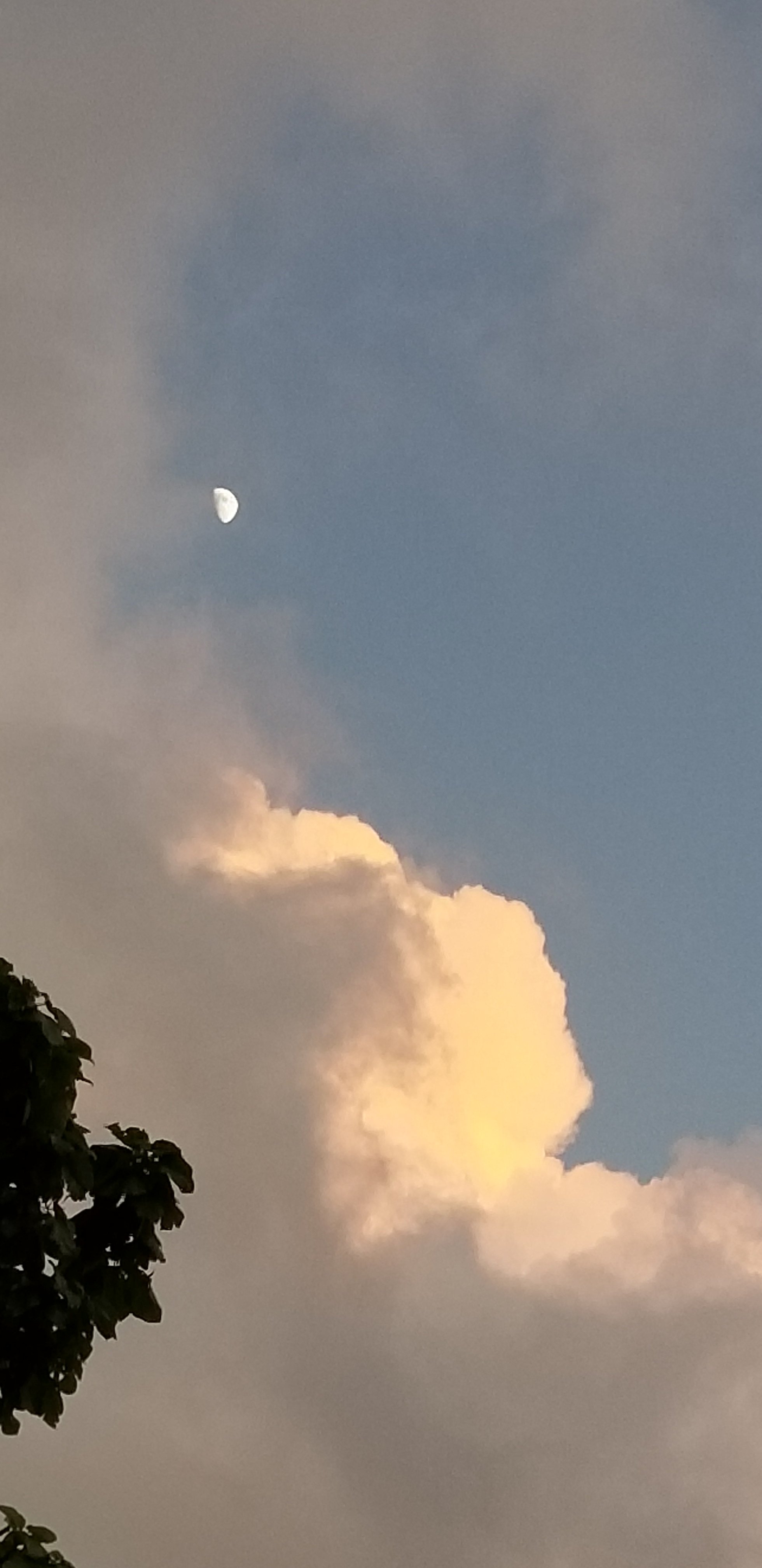 Pretty Skies and Garden Update Pretty Skies and Garden Update