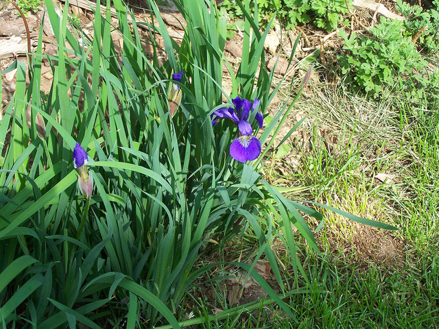 8870605733_b83eabf68e_z