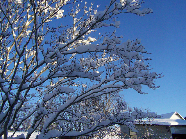 8391666179_01df4c0b2e_z