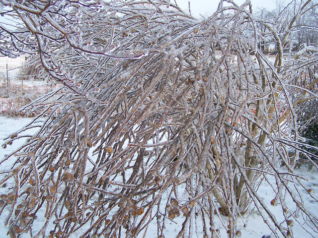 8318217406_500b225b5d_z