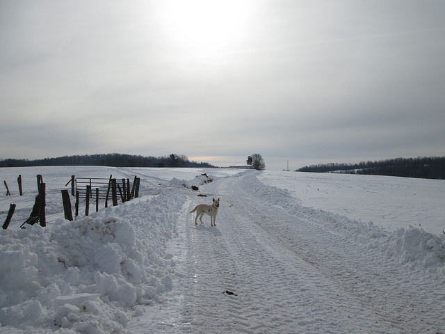 12590154985_5790aaa63e_z