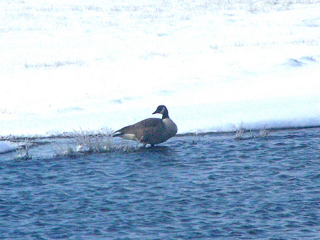 8592756182_c4f7d386f5_z