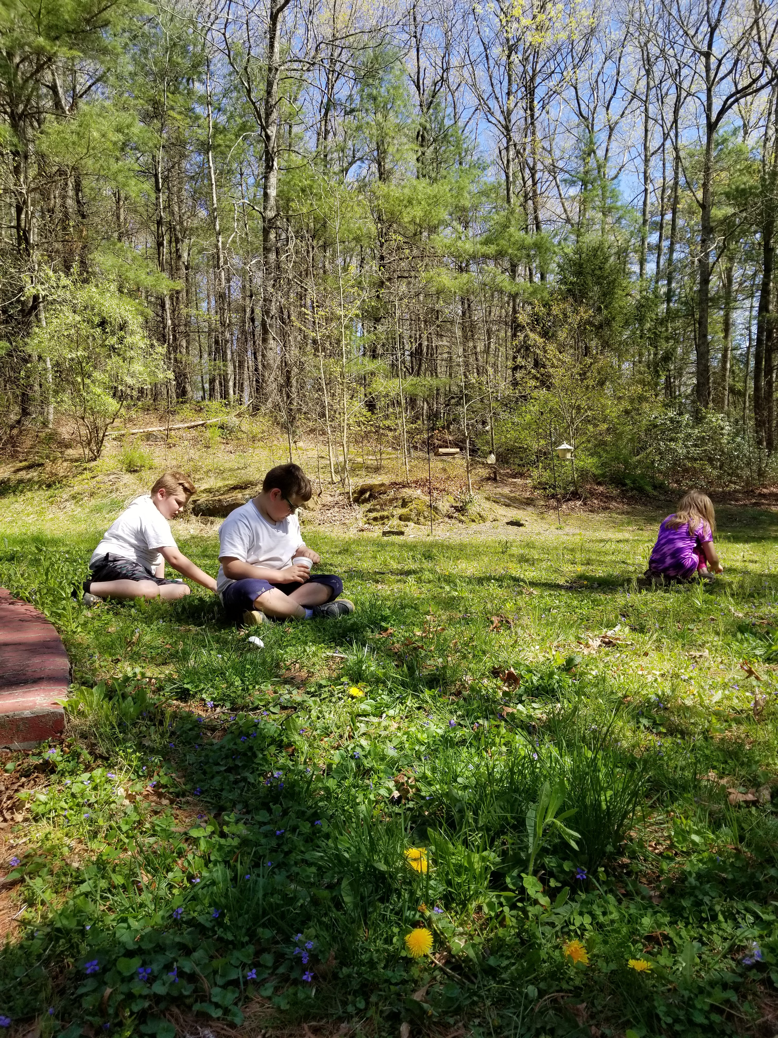 Violet Jelly Violet Jelly