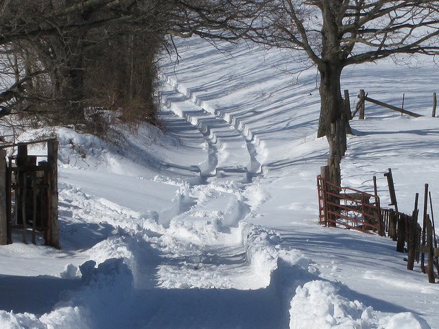 12540044495_134859c30c_z