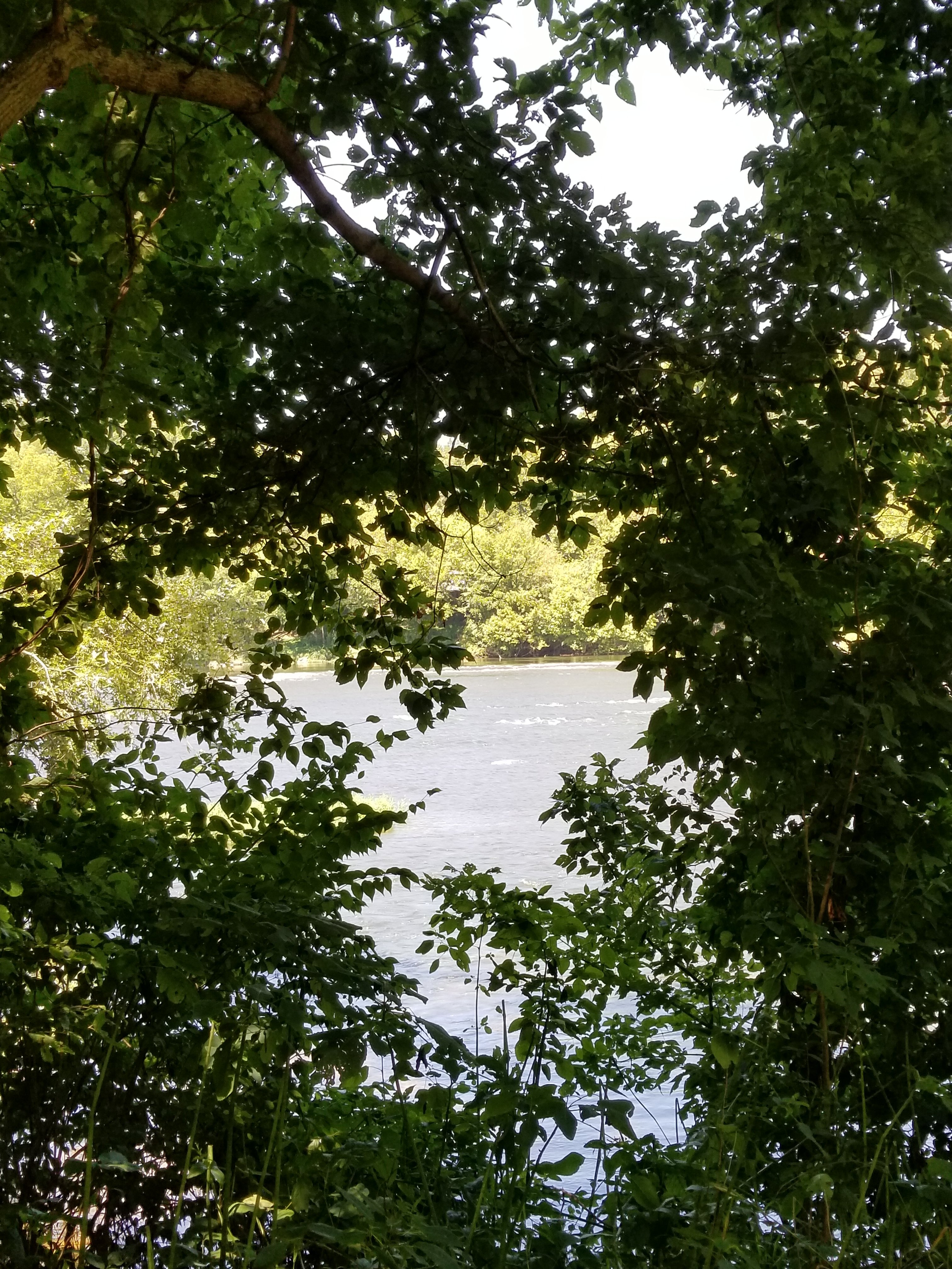 Good Morning Good Morning