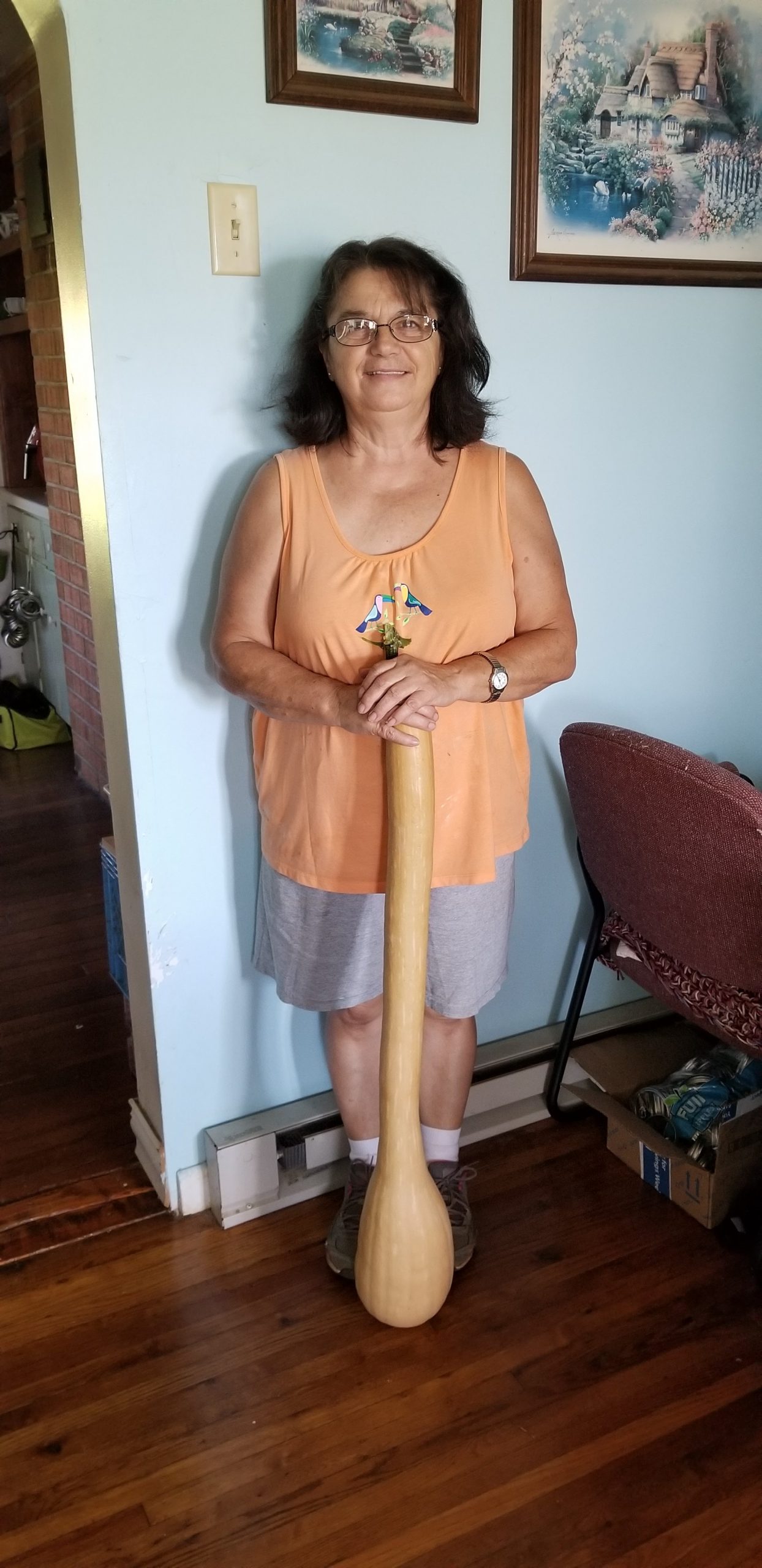 Squash Soup Squash Soup