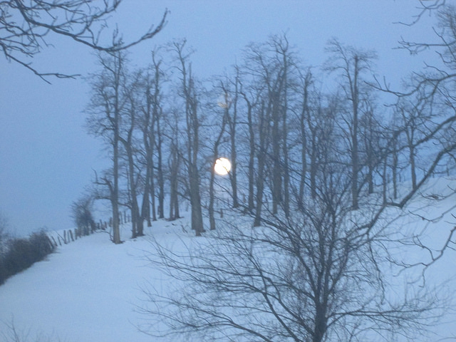 12590247623_9969a82240_z