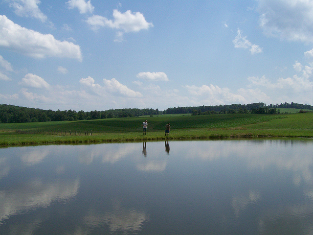 7456197134_1a31147222_z