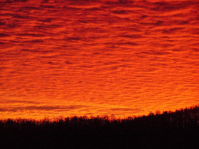 8333895386_b6878a0ee4_z