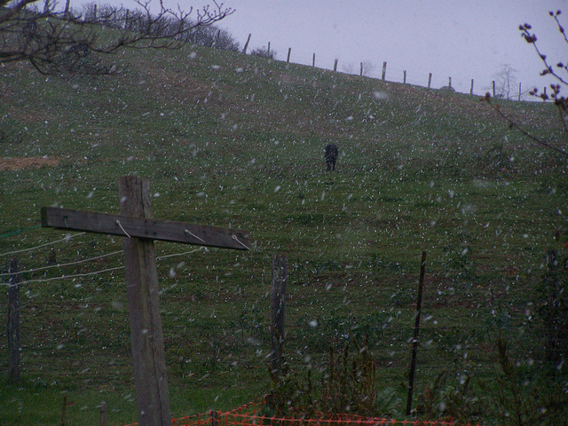 8134975952_f0475d6d37_z